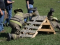 557812_445285052184520_624300367_n